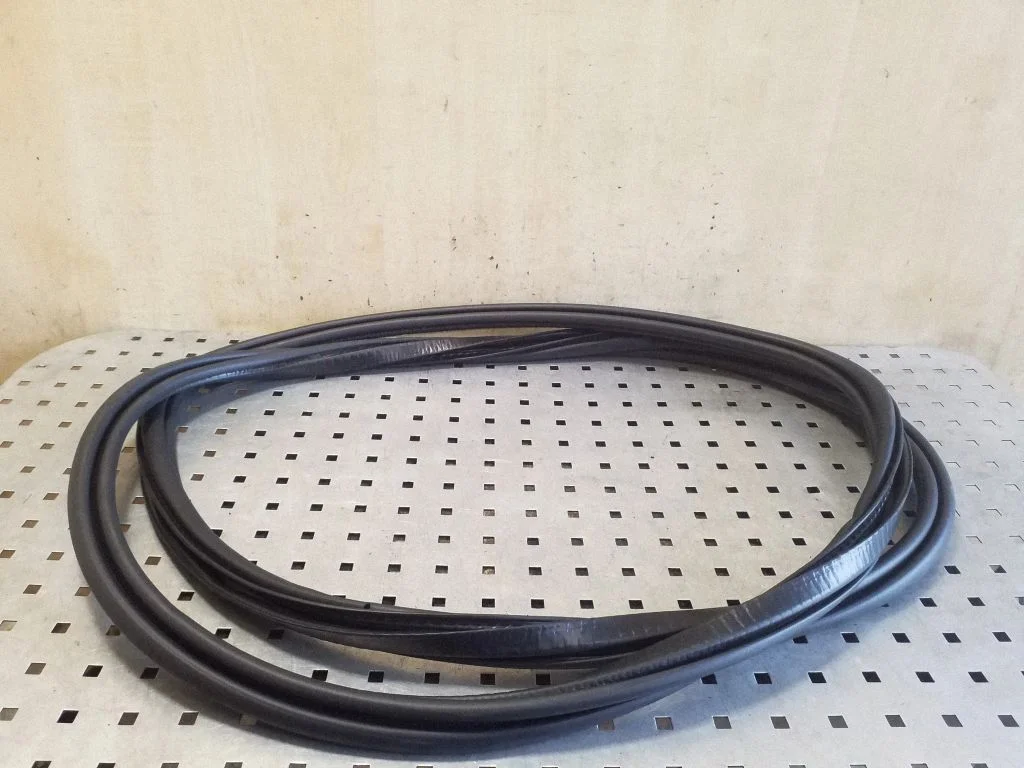 Rear door rubber seal (on body) 32229219