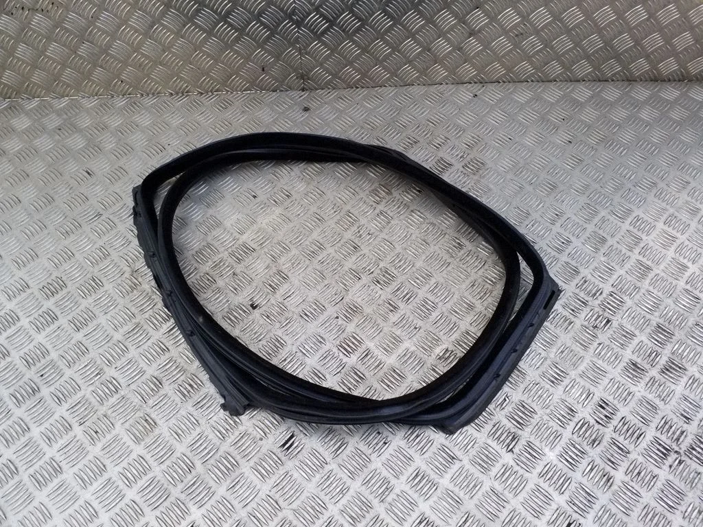Rear door rubber seal (on body) 7196390