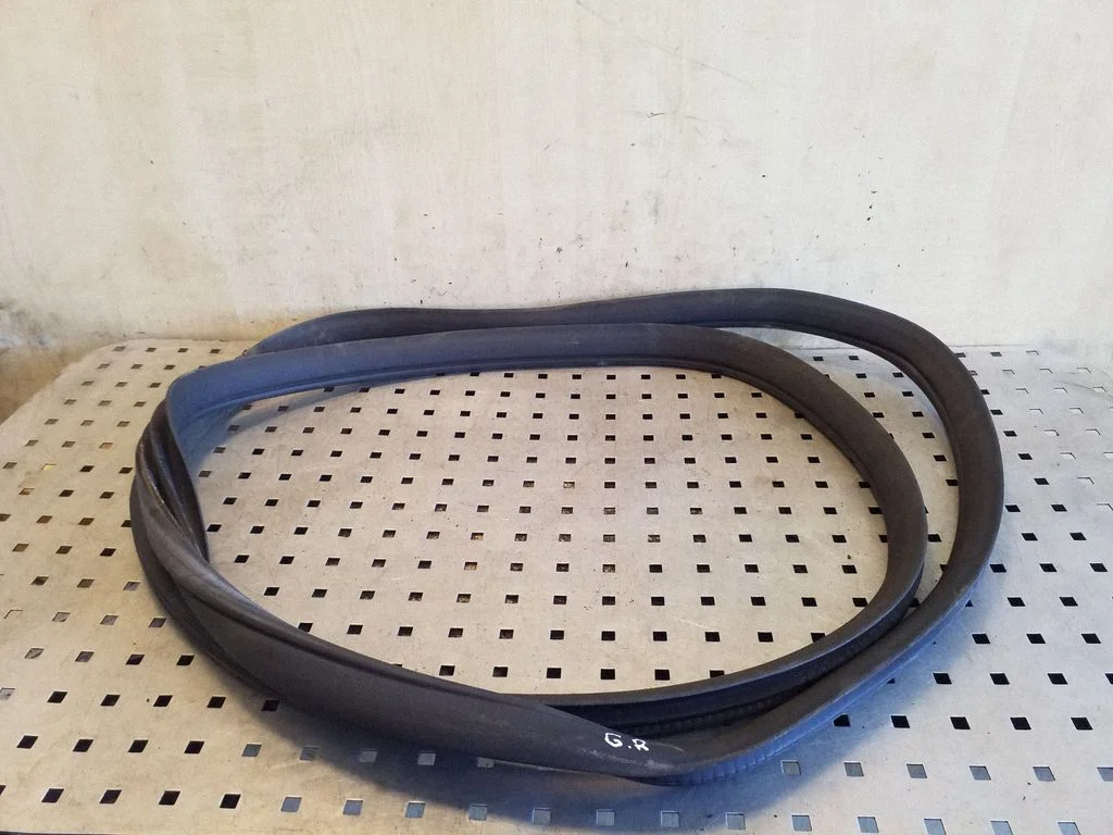 Rear door rubber seal (on body) A1646900176