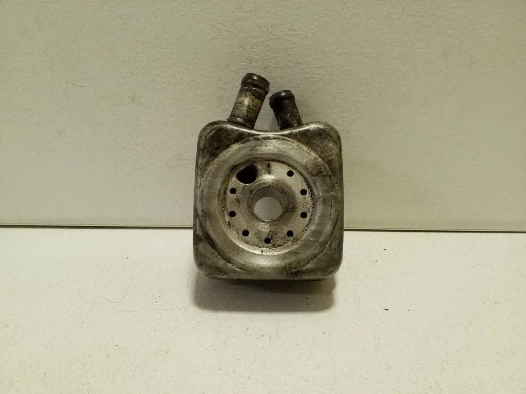 Oil filter mounting bracket