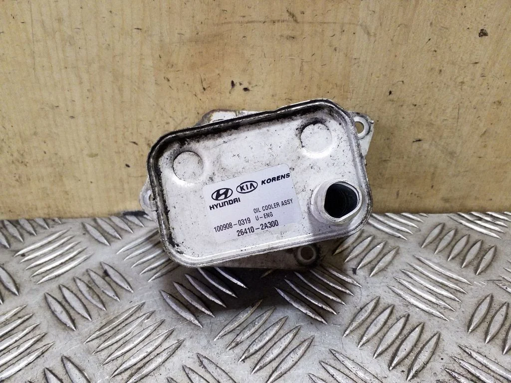 Oil filter mounting bracket 264102A300