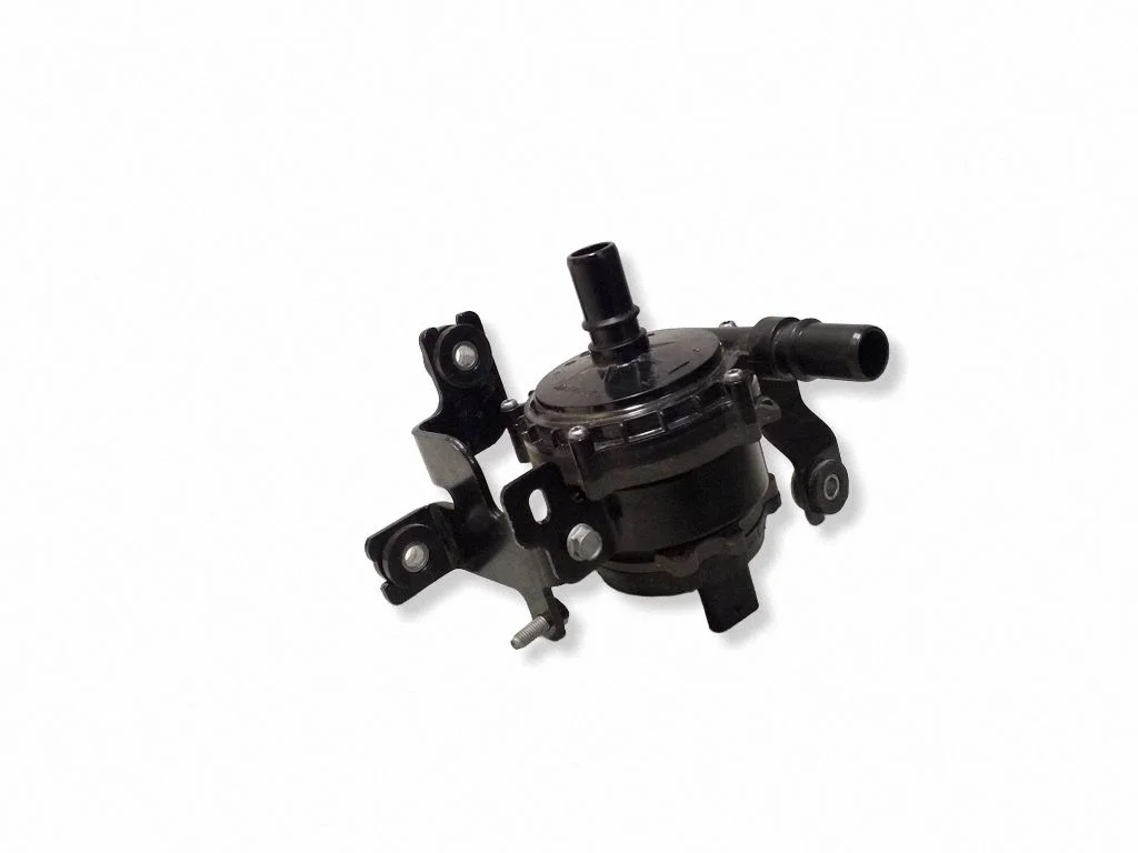 Electric auxiliary coolant/water pump 231214S2B1
