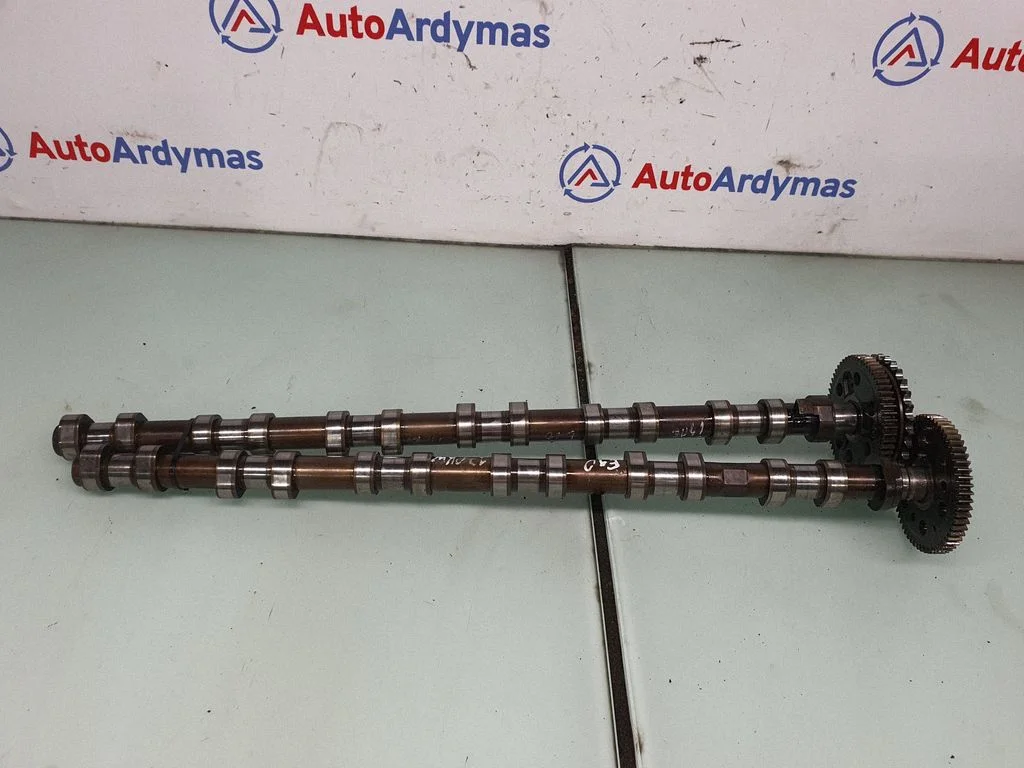 Sadales vārpsta 7791579