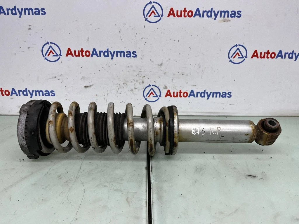 Aizmugurējais amortizators 6796317