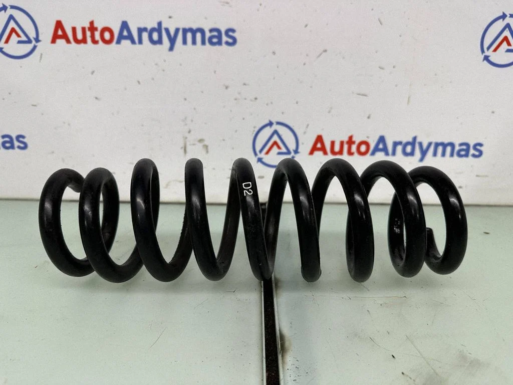 Aizmugurējā spirālatspere 6767344