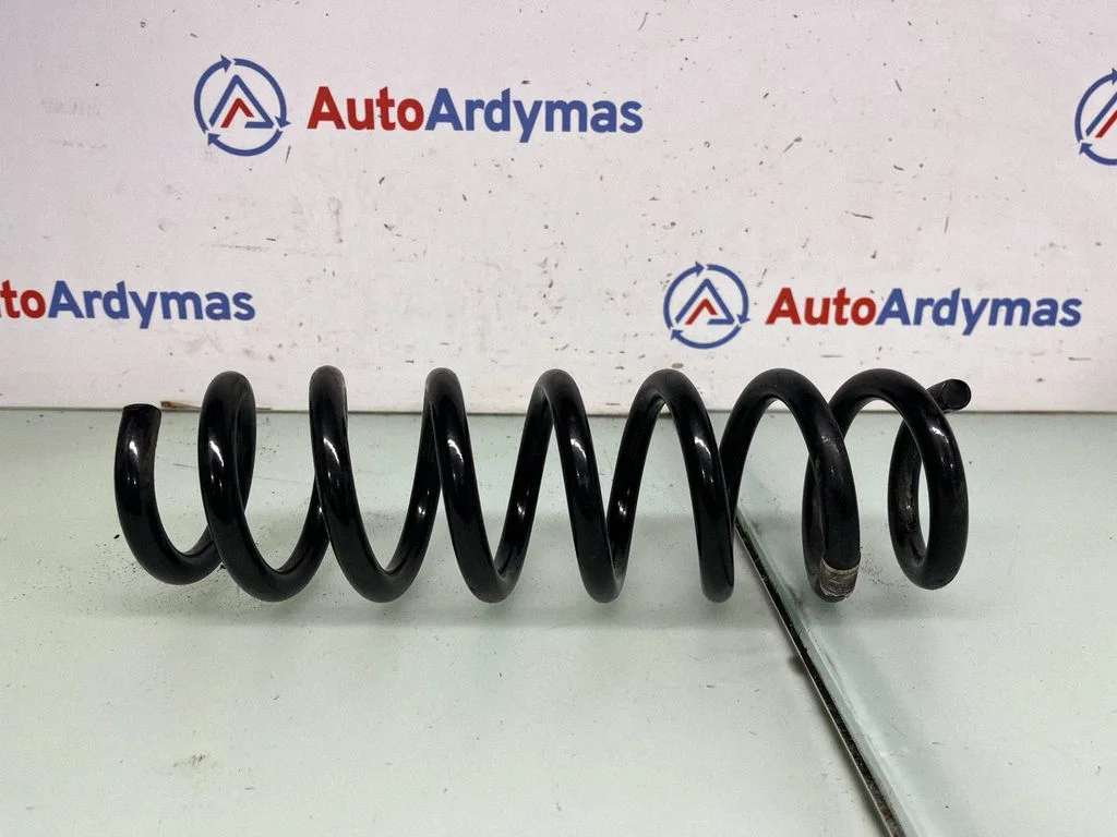 Rear coil spring 6889967