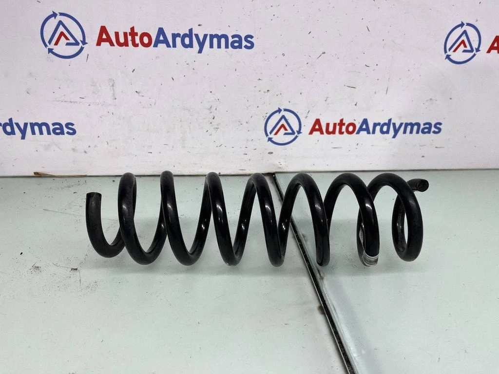 Rear coil spring 6889967