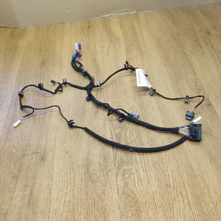 Front door wiring loom 06700058010