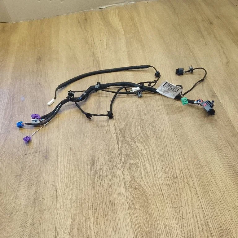 Front door wiring loom 06700058030