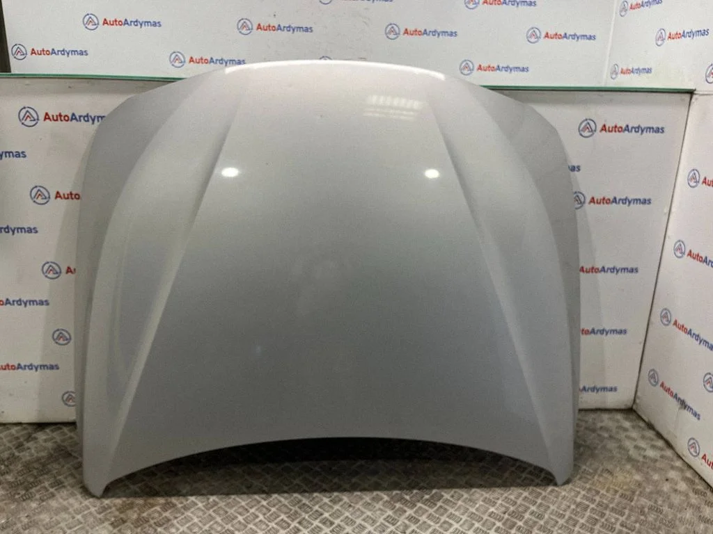 Engine bonnet/hood 7290944