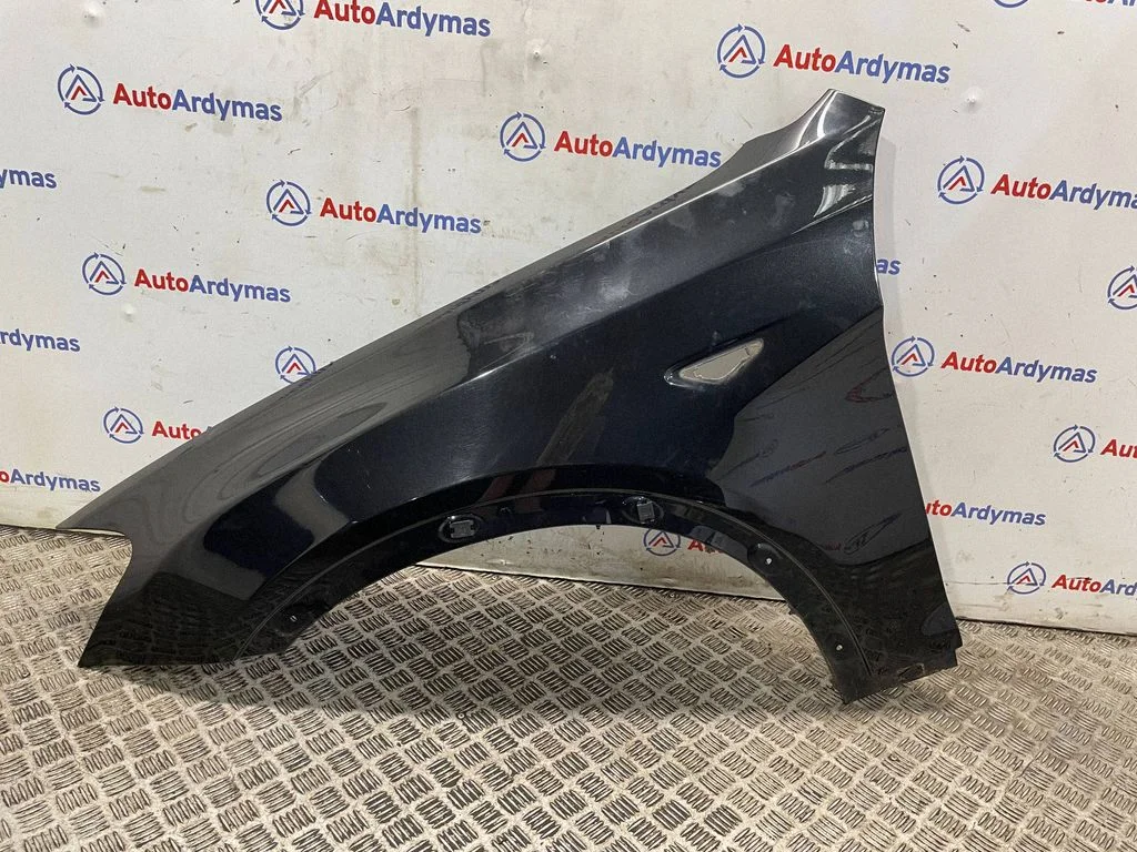 Fender 7267323