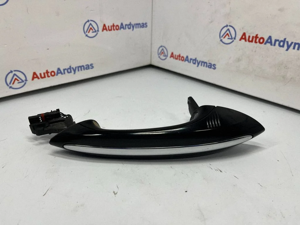 Rear door exterior handle 7305277