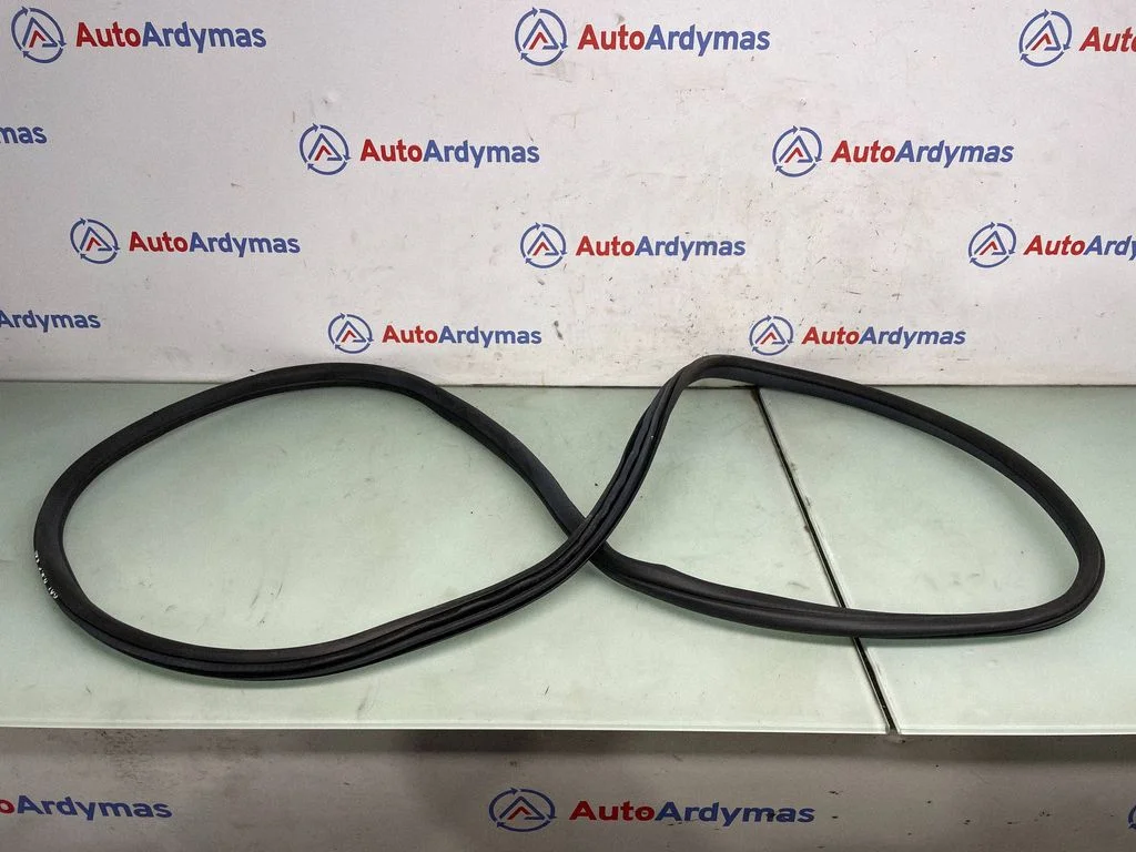 Rear door rubber seal (on body) 7393449