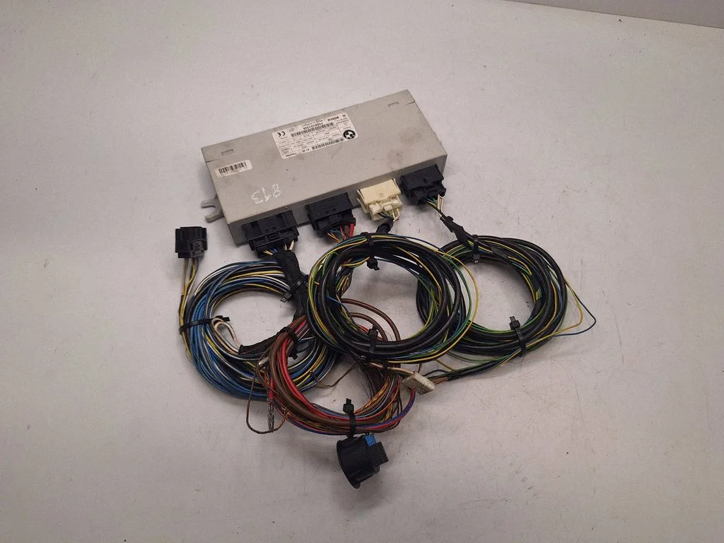 Tailgate/trunk control unit/module 61357365898