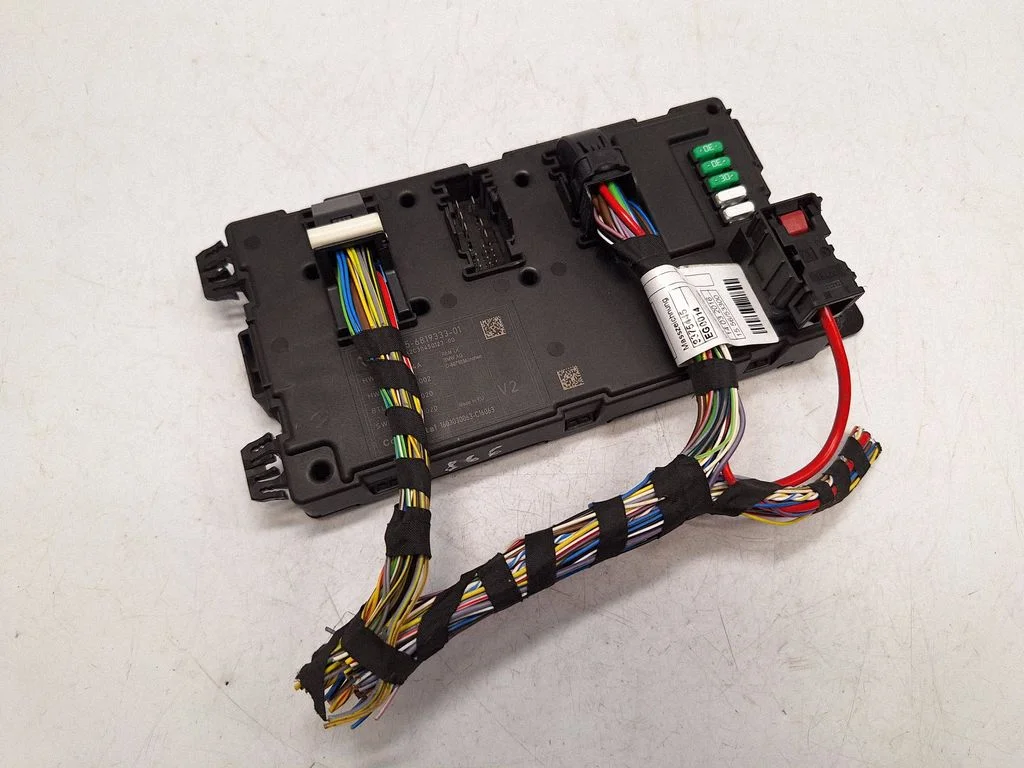 Other control units/modules 61356819333