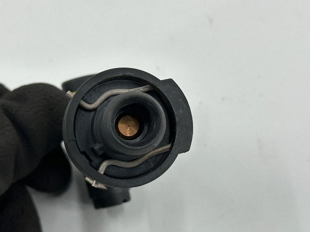 EGR termostatas