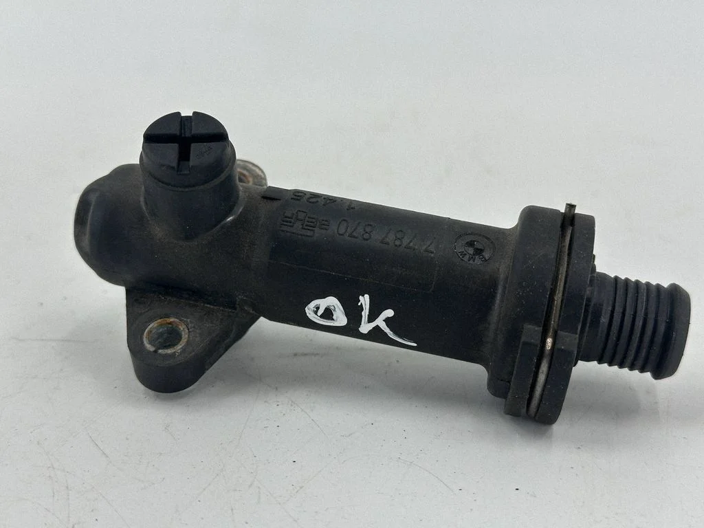 EGR termostatas
