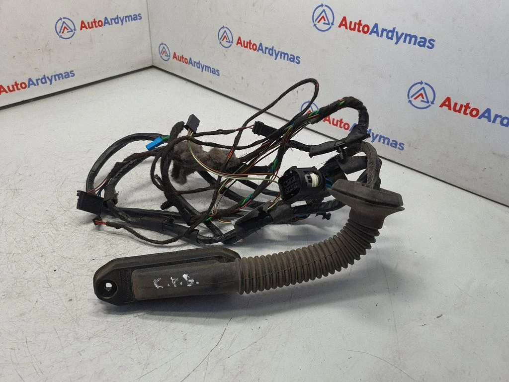 Rear door wiring loom 9203309