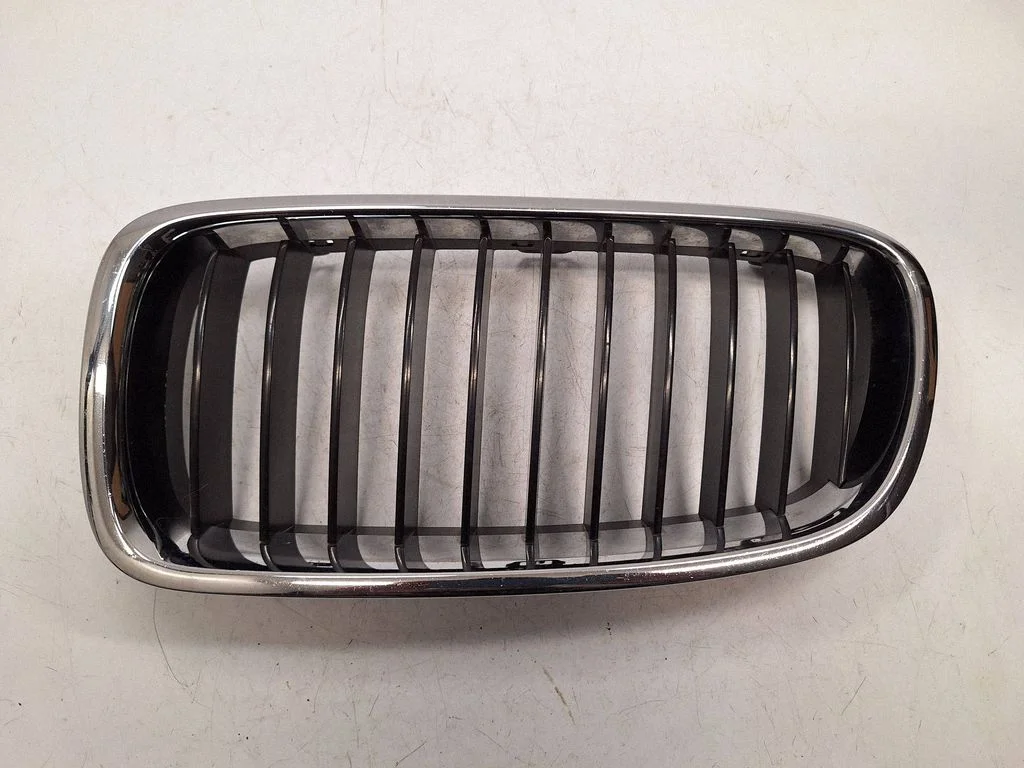 Front grill 7295441