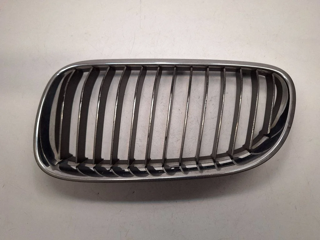 Front grill 51137254969