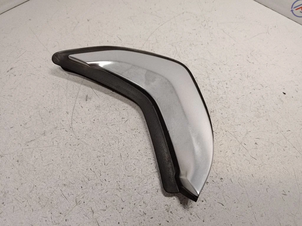 Rear door trim (molding) 7465155