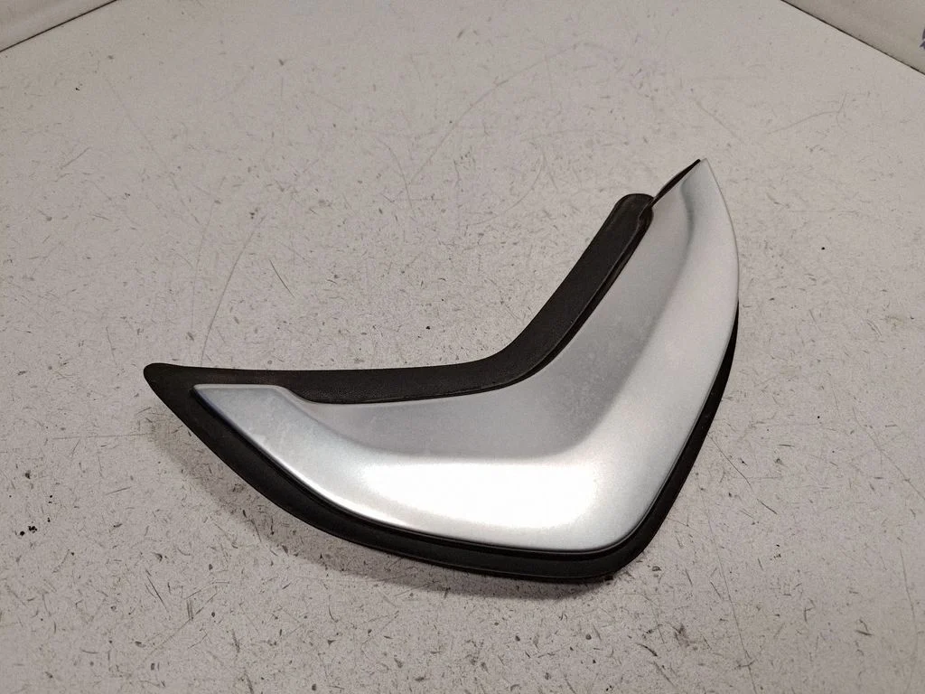 Rear door trim (molding) 51437465156