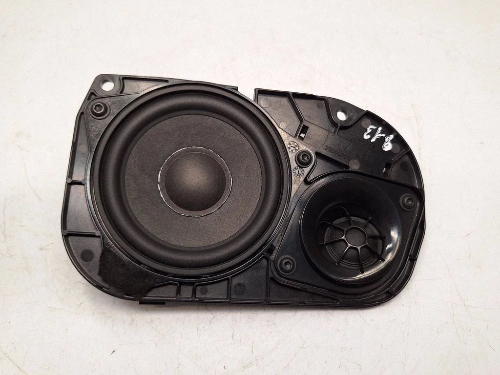 Panel speaker 65139239145