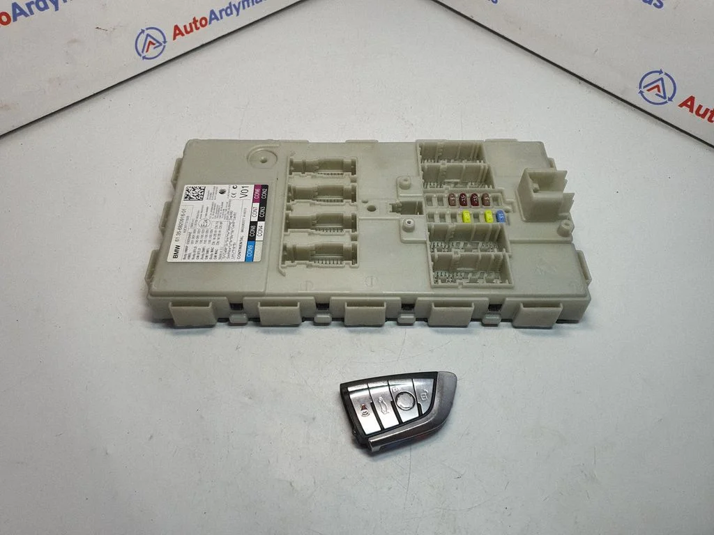 Immobilizer control unit/module 6820916