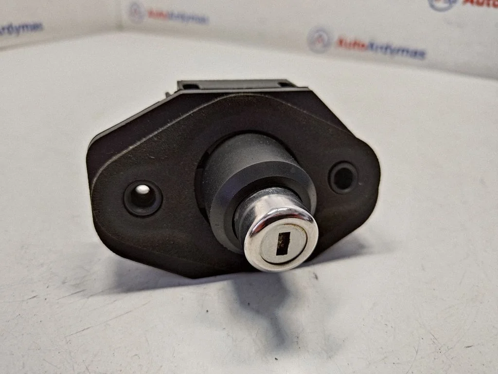 Tailgate exterior lock 51247194181