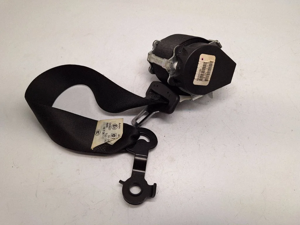 Third row seat belt 7161856