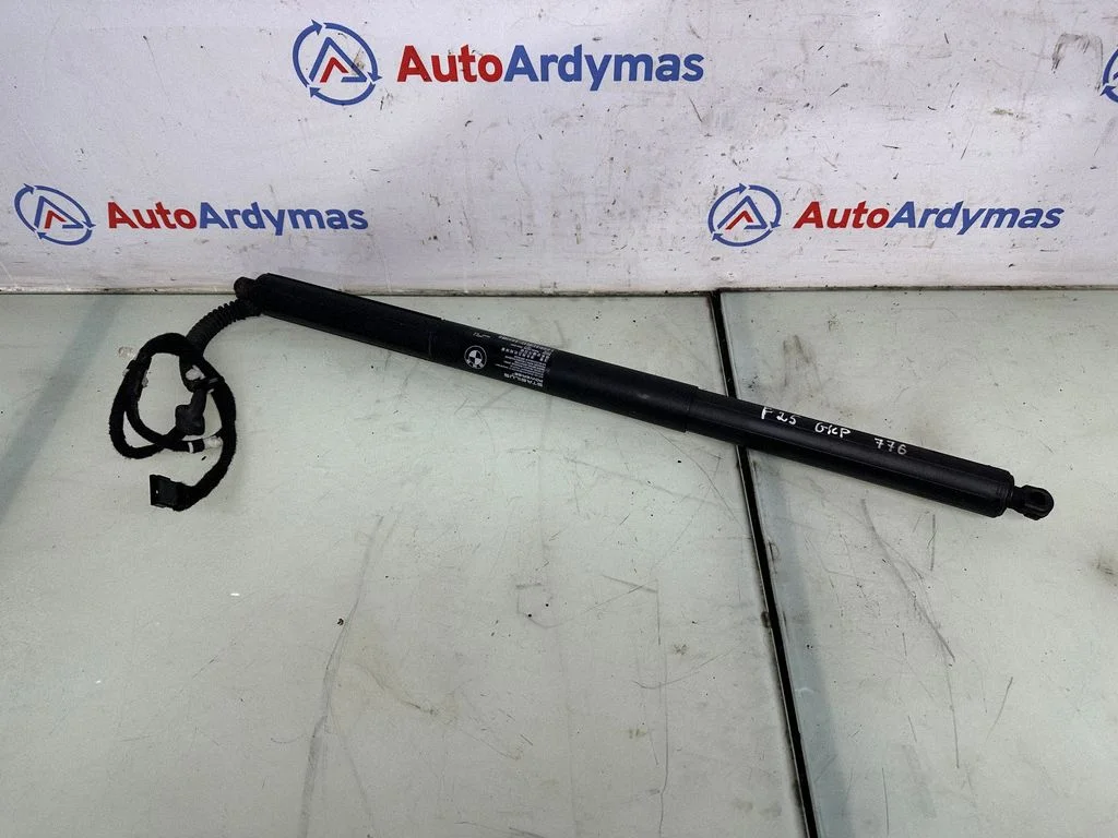 Bagāžnieka amortizators – BMW X3 F25 (2010-2017)