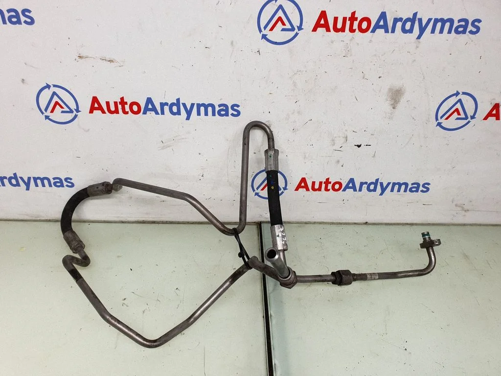 Aktyvaus stabilizatoriaus vamzdelis (-ai)/ žarna (-os)