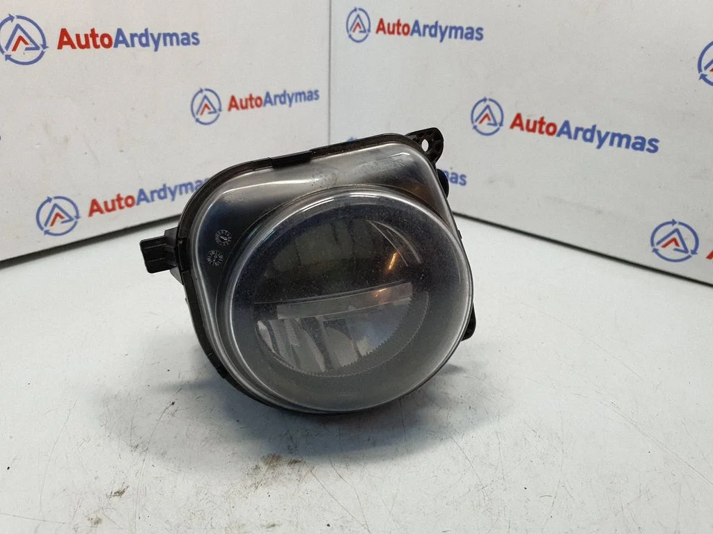 Front fog light 7311294