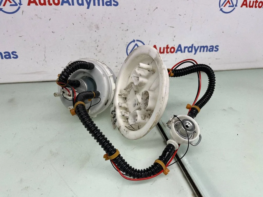 In-tank fuel pump 7341303