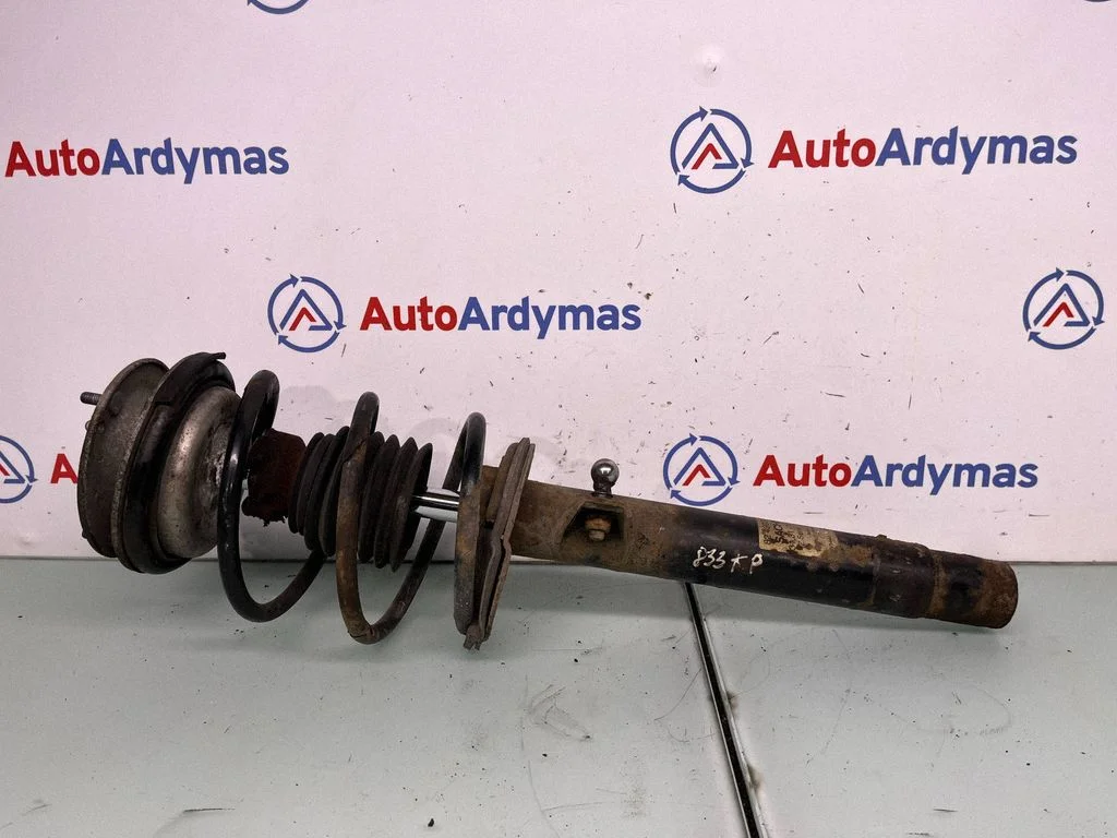 Front shock absorber/damper 1096849