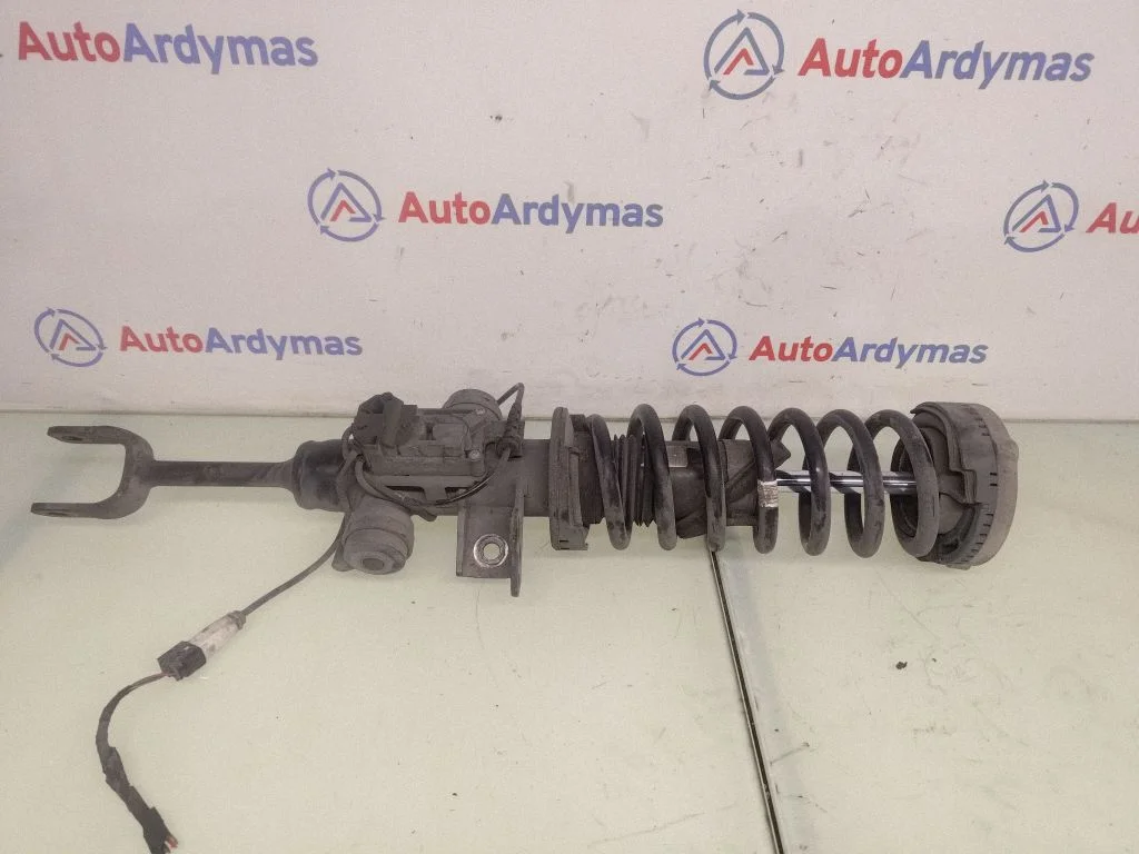 Front shock absorber/damper 6794136