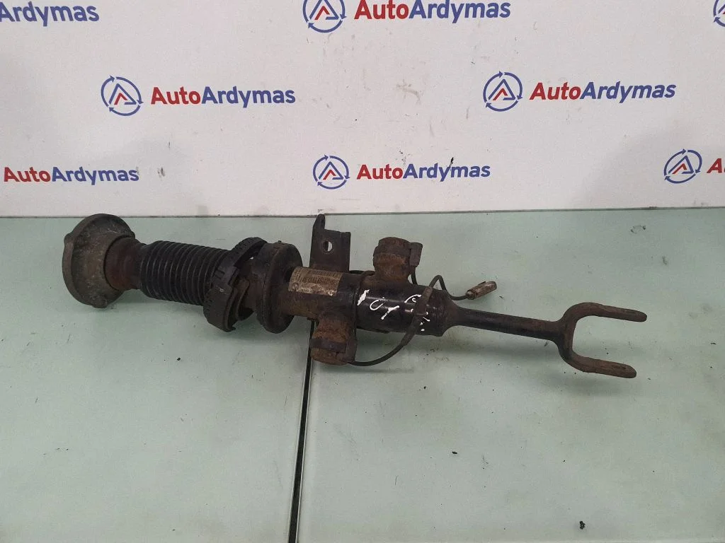 Front shock absorber/damper 4064271