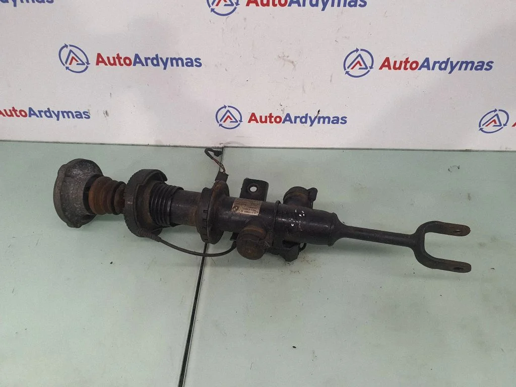 Front shock absorber/damper 6796925