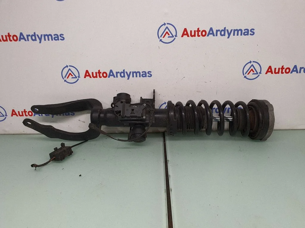 Front shock absorber/damper 6796857