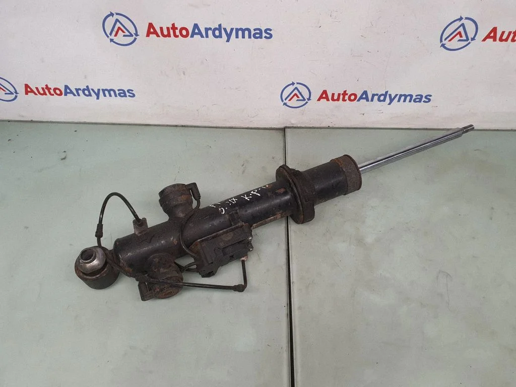 Tagumine amortisaator 6796859