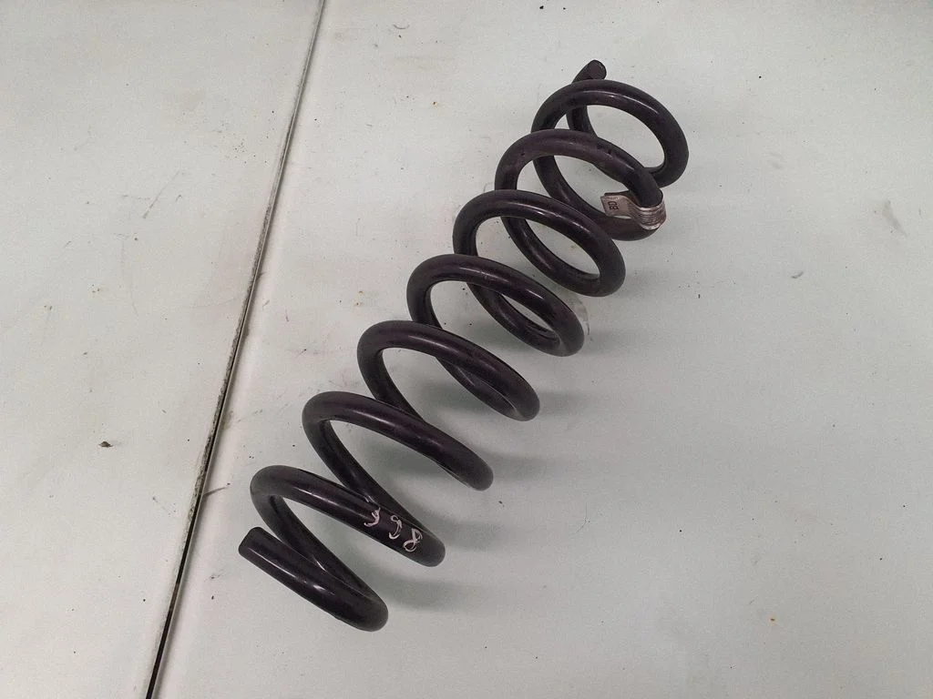 Rear coil spring