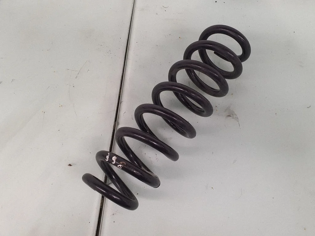 Rear coil spring
