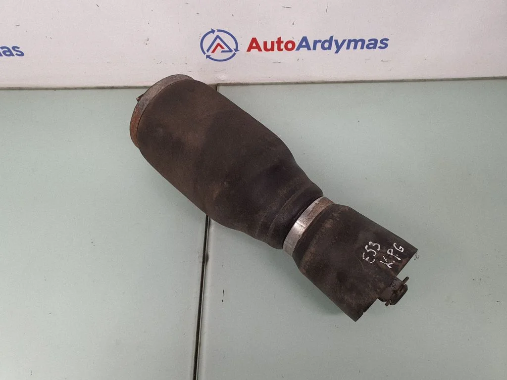 Rear air suspension bag/shock absorber 1095579