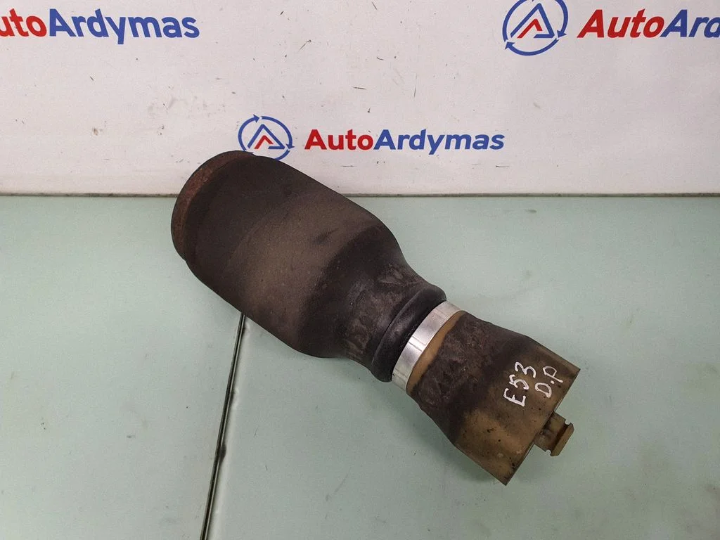 Aizmugurējais pneimatiskais (gaisa) spilvens 6750356