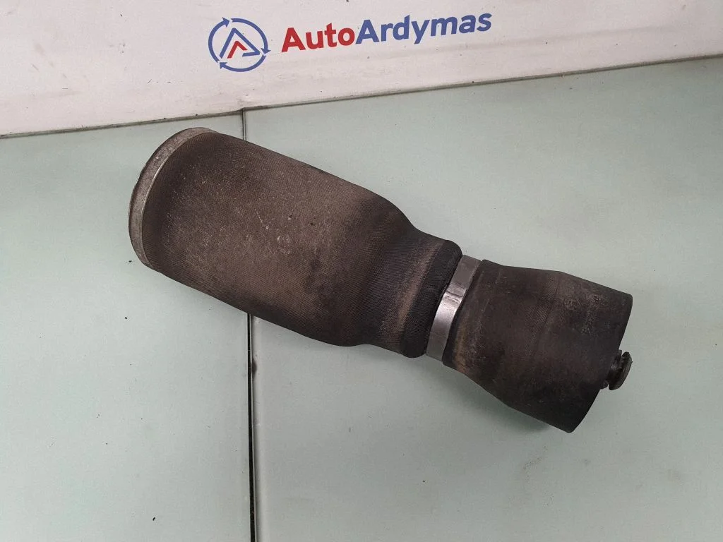 Aizmugurējais pneimatiskais (gaisa) spilvens 1095580