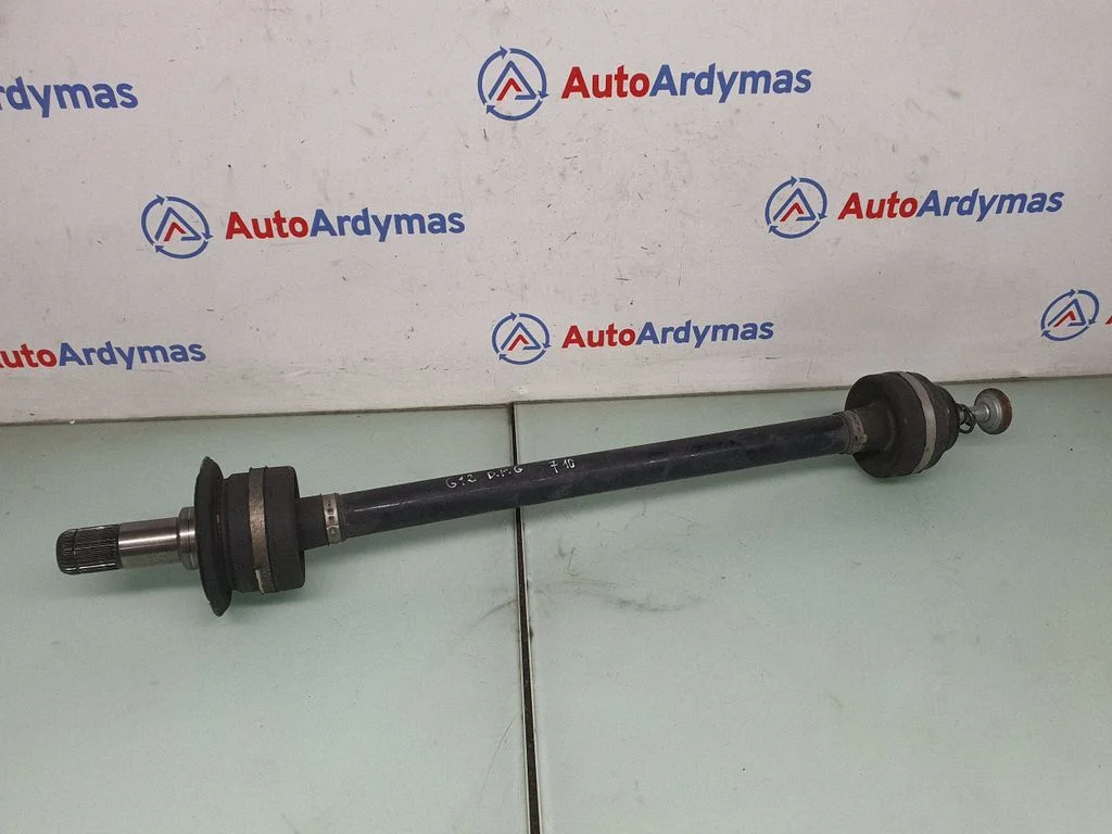 Aizmugurējā pusass 8639454