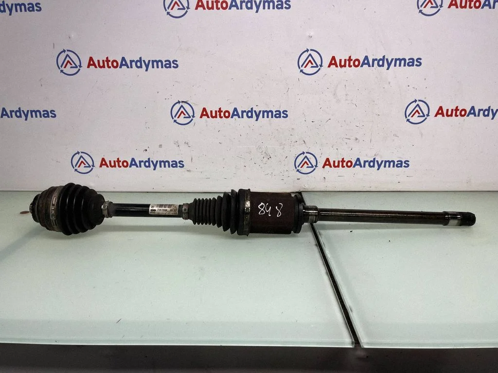 Priekšējā pusass 7597694