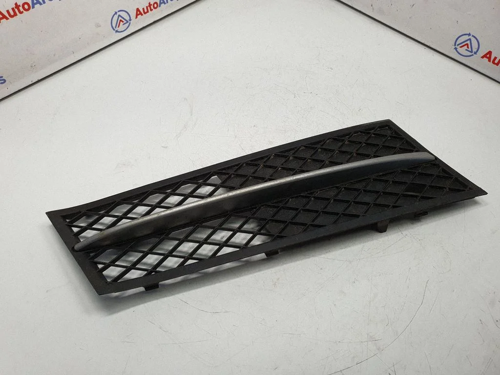 Front bumper lower grill 7200700