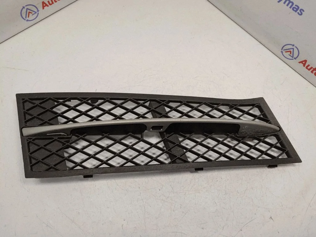 Front bumper lower grill 51117200698