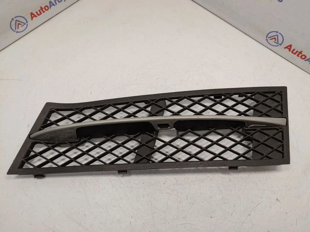 Front bumper lower grill 51117200697